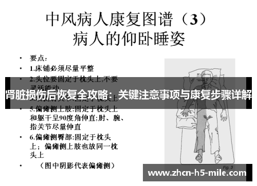 肾脏损伤后恢复全攻略：关键注意事项与康复步骤详解