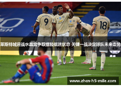 莱斯特城迎战水晶宫争取摆脱低迷状态 关键一战决定球队未来走势 莱斯特城迎战水晶宫争取摆脱低迷状态 关键一战决定球队未来走势