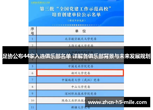 足协公布44家入选俱乐部名单 详解各俱乐部背景与未来发展规划