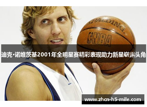 迪克·诺维茨基2001年全明星赛精彩表现助力新星崭露头角 迪克·诺维茨基2001年全明星赛精彩表现助力新星崭露头角