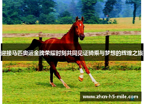迎接马匹奥运金牌荣耀时刻共同见证骑乘与梦想的辉煌之旅