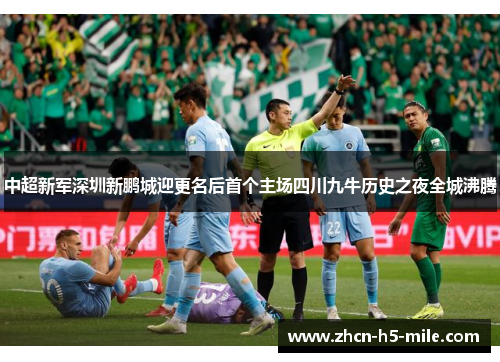 中超新军深圳新鹏城迎更名后首个主场四川九牛历史之夜全城沸腾 中超新军深圳新鹏城迎更名后首个主场四川九牛历史之夜全城沸腾