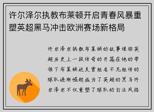 许尔泽尔执教布莱顿开启青春风暴重塑英超黑马冲击欧洲赛场新格局